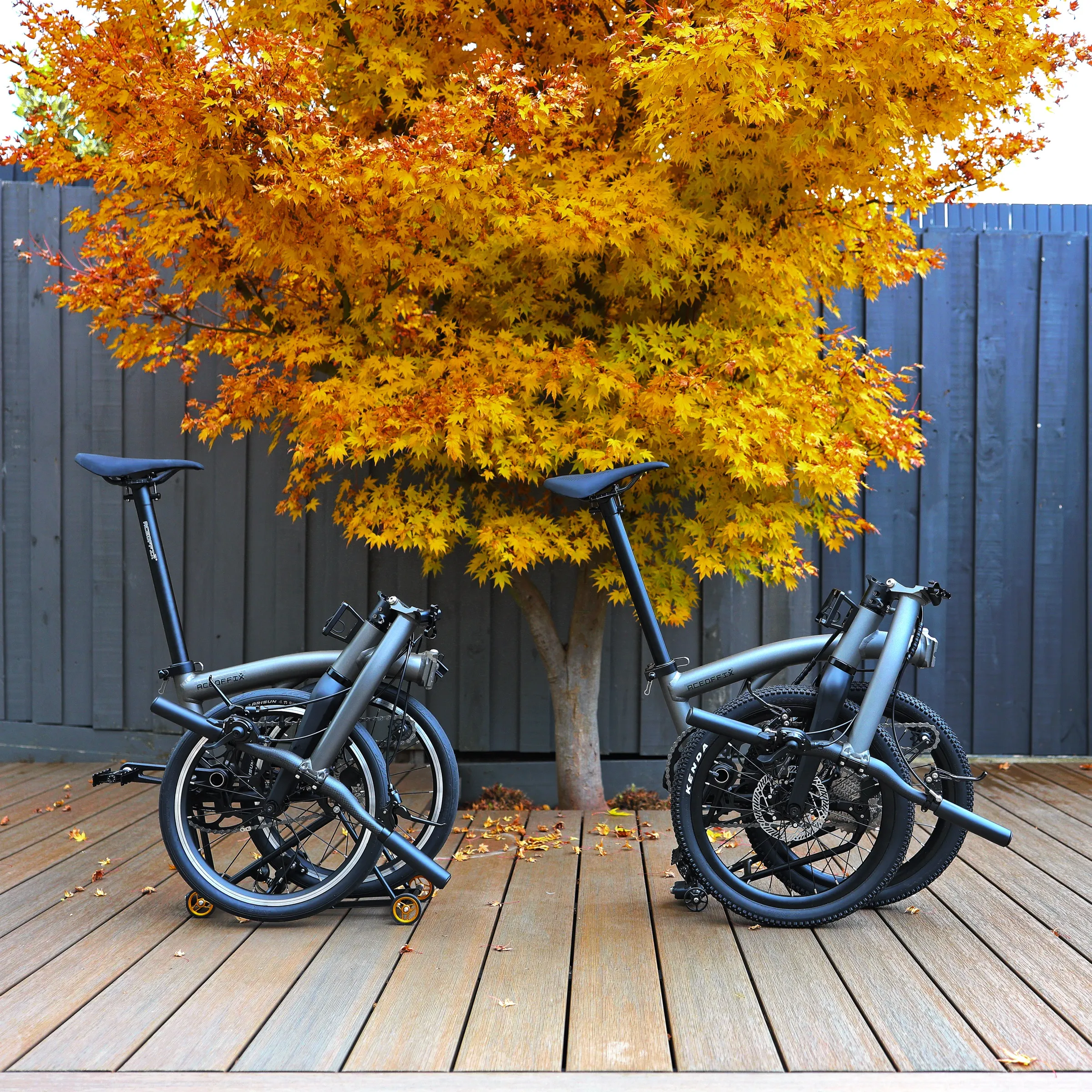 Gravon and Aerra folding bikes photographed together, showing the size and stance difference between models