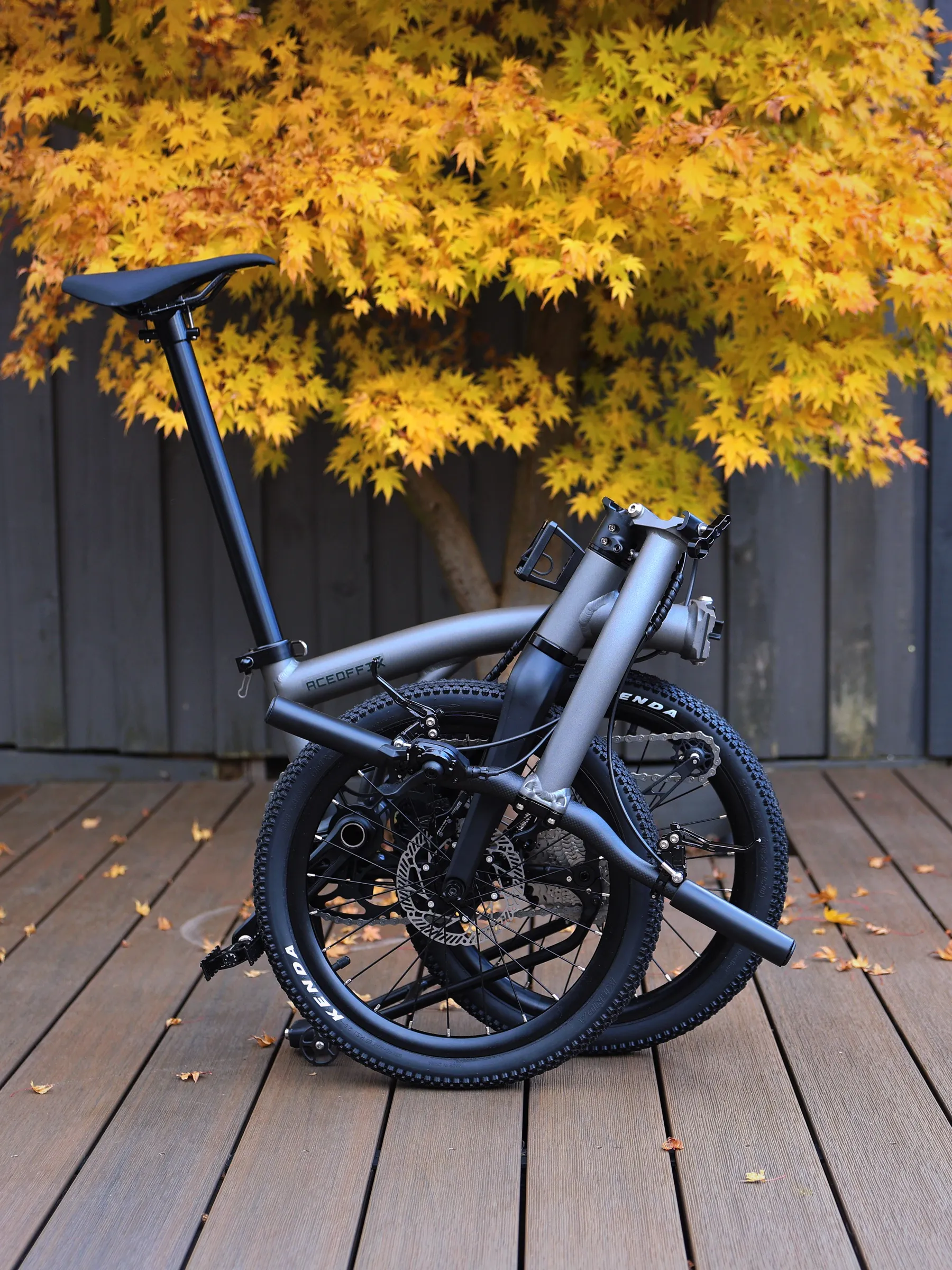 Gravon standing among fallen maple leaves, a compact folding bike in a quiet weekend setting