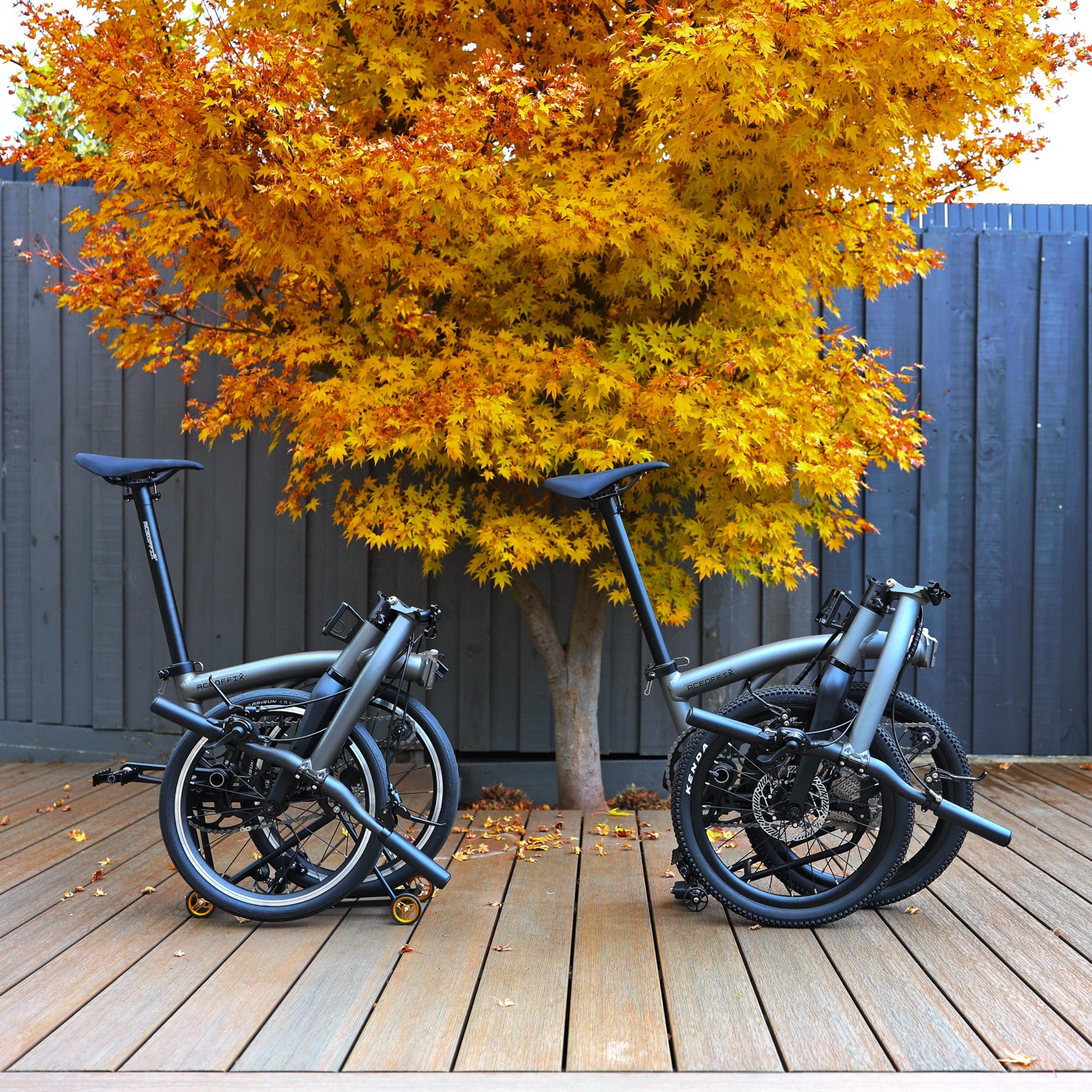 Gravon and Aerra folding bikes photographed together, showing the size difference between models.