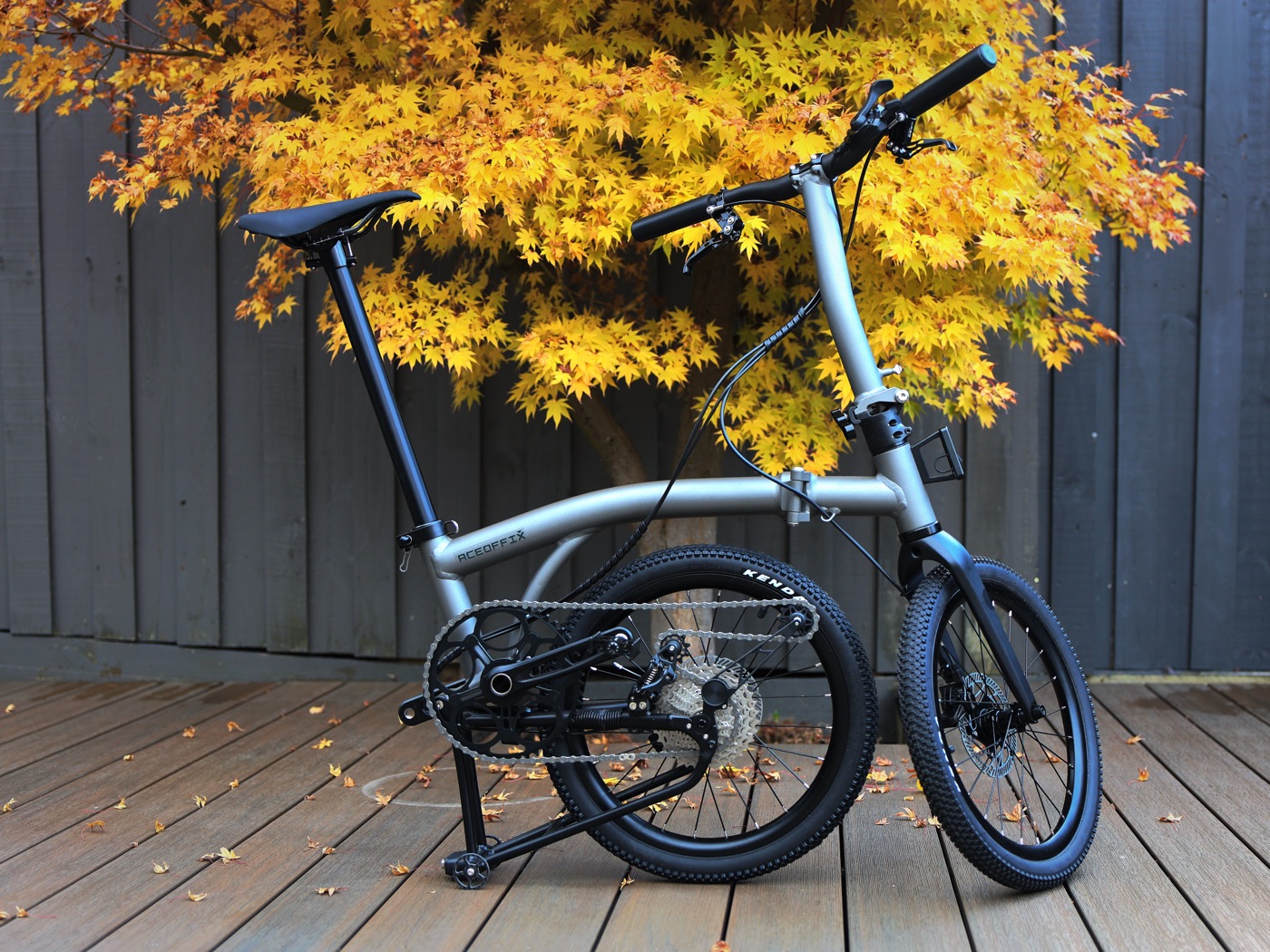 A Gravon folding bike photographed among autumn maple leaves in warm natural light.